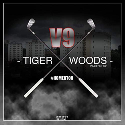 V9 - Tiger Woods