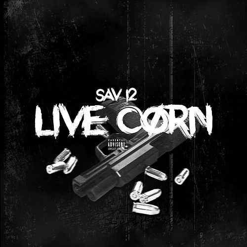 Sav12 - Live Corn